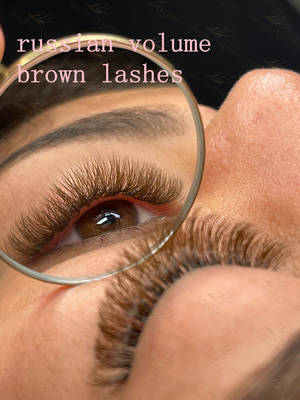 Classic Lash Extension - MUA Lashes Collections